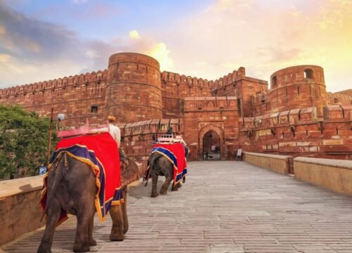 Majestic Chronicles: A Definitive Guide to the UNESCO World Heritage Sites in India