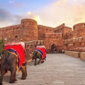 Majestic Chronicles: A Definitive Guide to the UNESCO World Heritage Sites in India