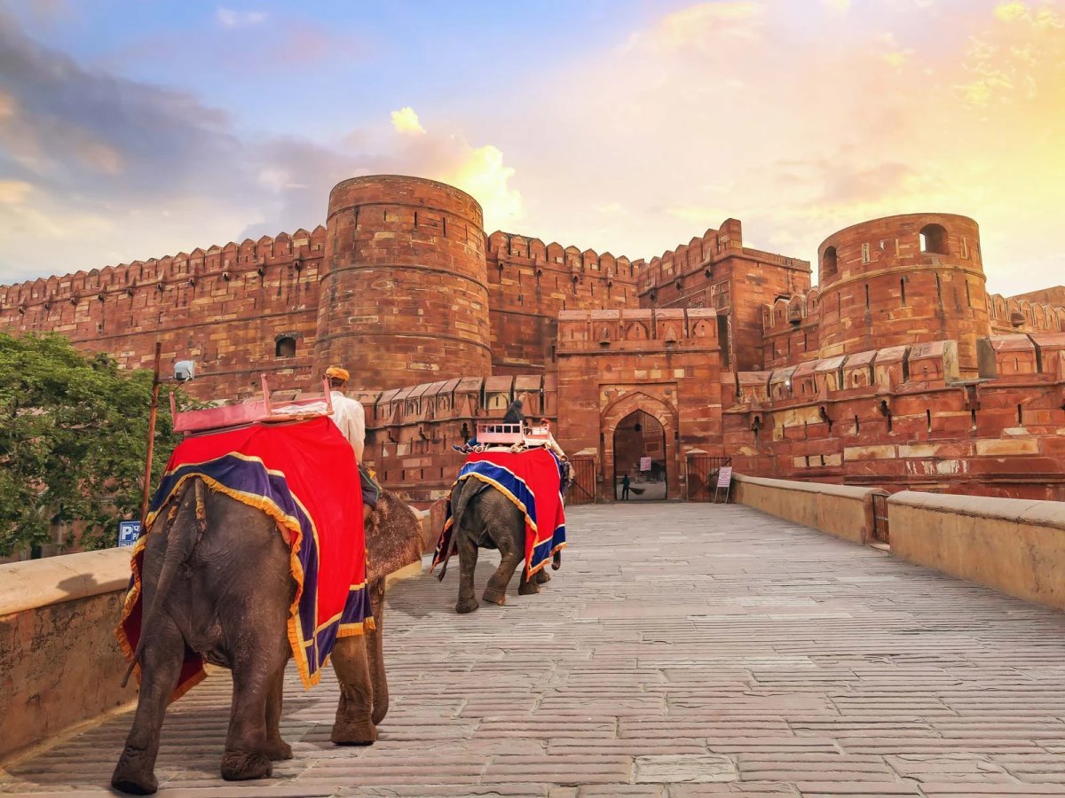 Majestic Chronicles: A Definitive Guide to the UNESCO World Heritage Sites in India