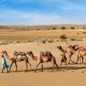 The Best Time to Visit Rajasthan 2026: A Guide to a Royal Sojourn