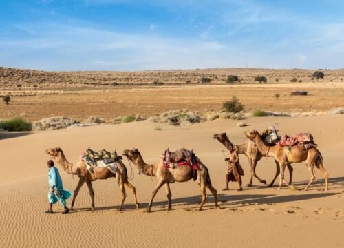 The Best Time to Visit Rajasthan 2026: A Guide to a Royal Sojourn