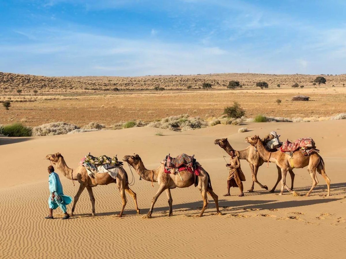 The Best Time to Visit Rajasthan 2026: A Guide to a Royal Sojourn