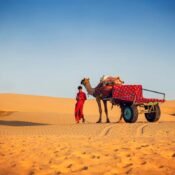 The Ultimate Luxury Train Rajasthan Experience: A Royal Journey Through India’s Heartland