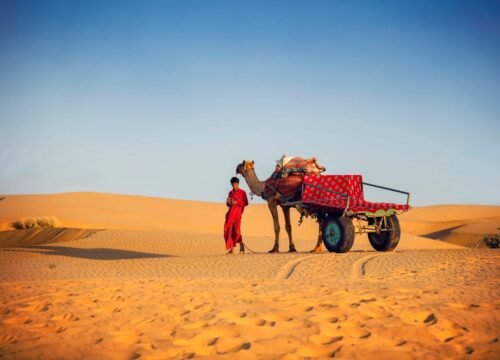 The Ultimate Luxury Train Rajasthan Experience: A Royal Journey Through India’s Heartland
