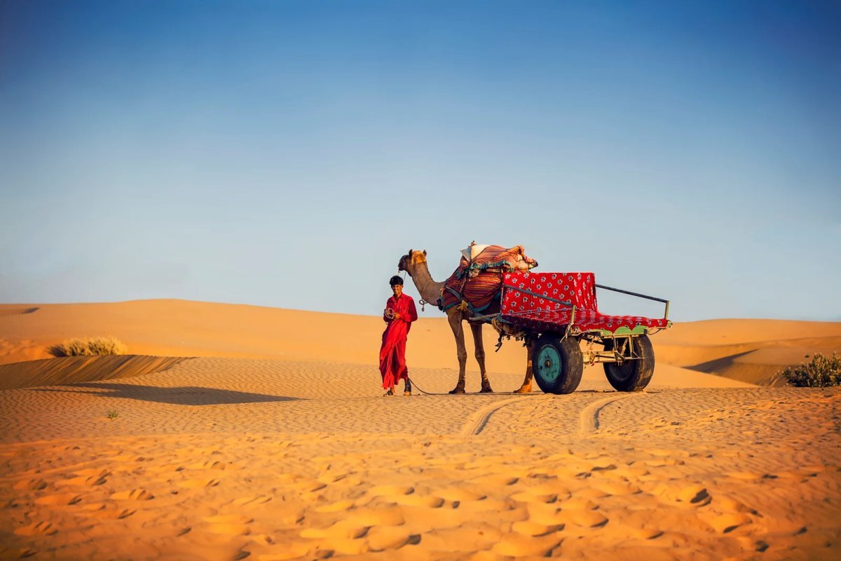 The Ultimate Luxury Train Rajasthan Experience: A Royal Journey Through India’s Heartland